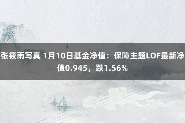 张筱雨写真 1月10日基金净值：保障主题LOF最新净值0.945，跌1.56%