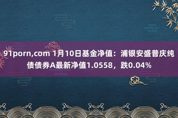 91porn，com 1月10日基金净值：浦银安盛普庆纯债债券A最新净值1.0558，跌0.04%