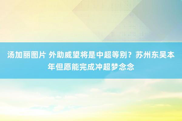 汤加丽图片 外助威望将是中超等别？苏州东吴本年但愿能完成冲超梦念念