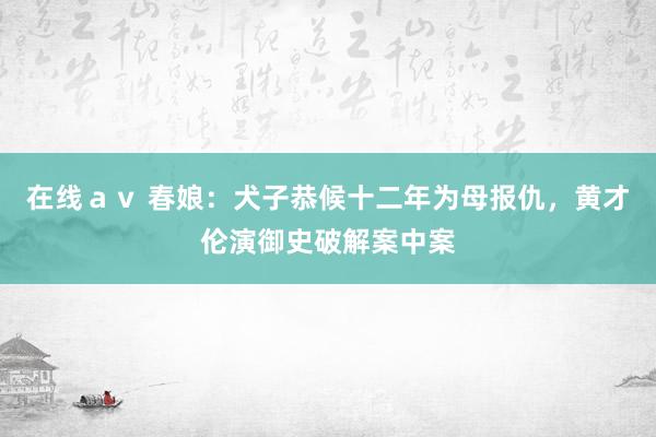 在线ａｖ 春娘：犬子恭候十二年为母报仇，黄才伦演御史破解案中案