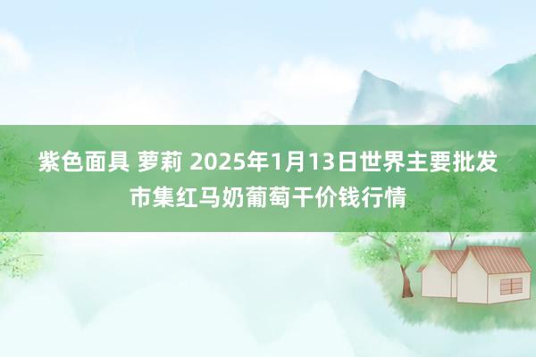 紫色面具 萝莉 2025年1月13日世界主要批发市集红马奶葡萄干价钱行情