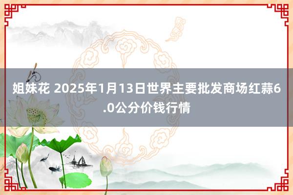 姐妹花 2025年1月13日世界主要批发商场红蒜6.0公分价钱行情