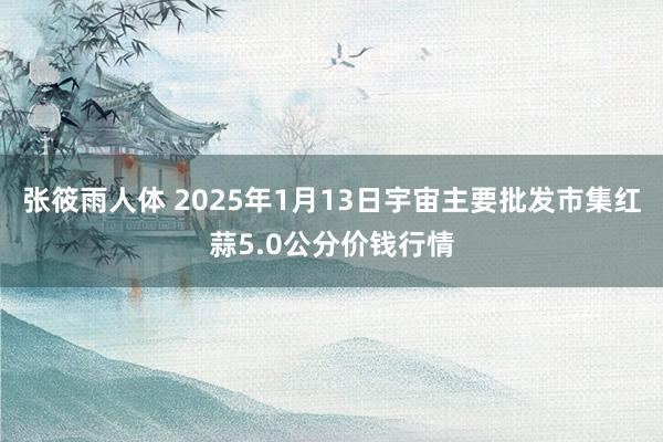 张筱雨人体 2025年1月13日宇宙主要批发市集红蒜5.0公分价钱行情