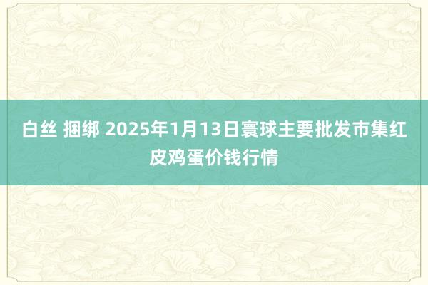 白丝 捆绑 2025年1月13日寰球主要批发市集红皮鸡蛋价钱行情