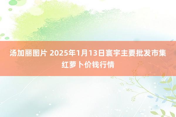 汤加丽图片 2025年1月13日寰宇主要批发市集红萝卜价钱行情