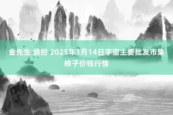 金先生 偷拍 2025年1月14日宇宙主要批发市集柿子价钱行情