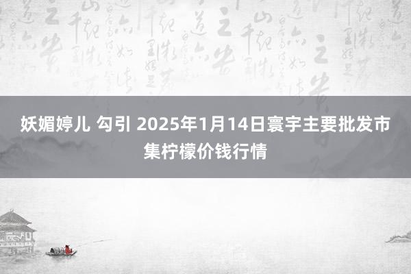 妖媚婷儿 勾引 2025年1月14日寰宇主要批发市集柠檬价钱行情