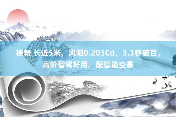 裸舞 长近5米，风阻0.203Cd，3.3秒破百，高阶智驾好用，配智能空悬