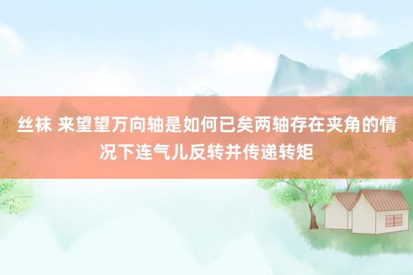 丝袜 来望望万向轴是如何已矣两轴存在夹角的情况下连气儿反转并传递转矩