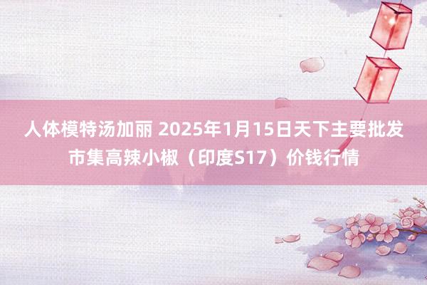 人体模特汤加丽 2025年1月15日天下主要批发市集高辣小椒（印度S17）价钱行情