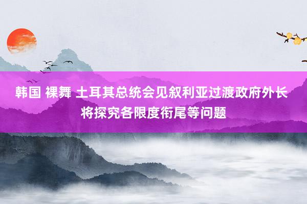 韩国 裸舞 土耳其总统会见叙利亚过渡政府外长 将探究各限度衔尾等问题