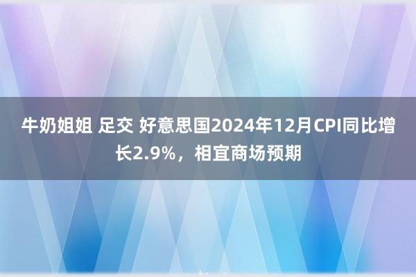 牛奶姐姐 足交 好意思国2024年12月CPI同比增长2.9%，相宜商场预期