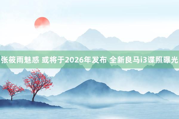 张筱雨魅惑 或将于2026年发布 全新良马i3谍照曝光